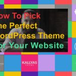 How To Pick The Perfect WordPress Theme For Your Website