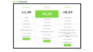 Wordpress hosting pricing table Metropolitan host